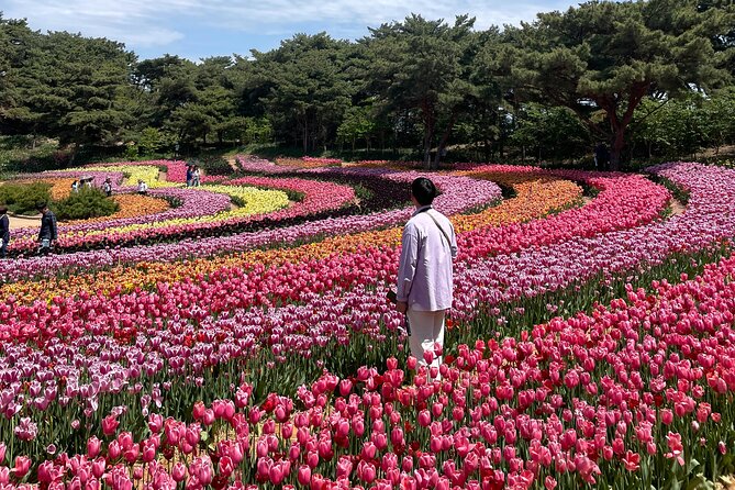 Taean Tulip Festival and Strawberry Picking Day Tour from Seoul - Eddie and the value of organized guiding
