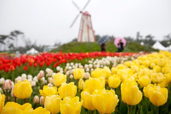 Taean Tulip Festival and Strawberry Picking Day Tour from Seoul - Transport, timing, and the shape of the day