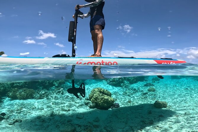 Tahaa Excursion in Electric Paddle Snorkeling Coral Garden - Why the electric paddleboard matters on Taha’a