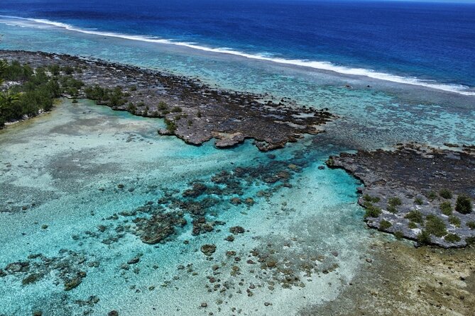 Tahaa Excursion in Electric Paddle Snorkeling Coral Garden - What makes the guide-led approach useful