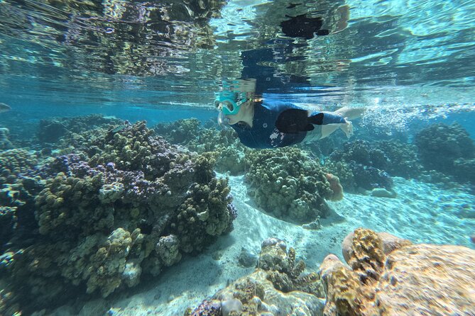 Tahaa Excursion in Electric Paddle Snorkeling Coral Garden - What you get for $128.23