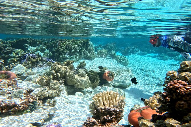 Tahaa Excursion in Electric Paddle Snorkeling Coral Garden - The Coral Garden snorkeling stop