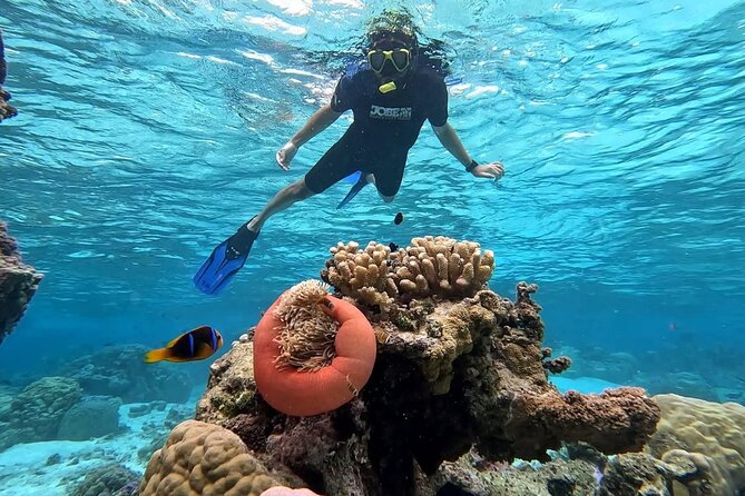Tahaa: Kayaking Rental - Coral Garden - Snorkeling - How much time to spend in the water