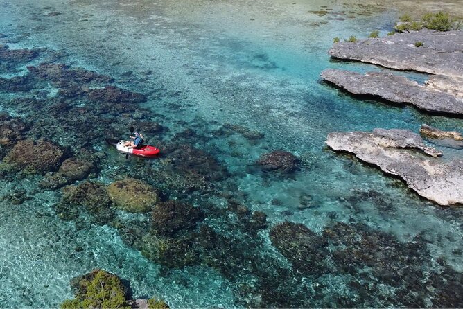 Tahaa: Kayaking Rental - Coral Garden - Snorkeling - Who should book this Tahaa kayaking outing