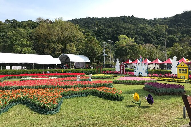Taipei Cherry Blossom Day Tour to Yangmingshan and Tamsui - What the guides add to the day