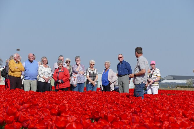 Taking Pictures in the Tulip Field at De Tulperij - A close look at the photo value