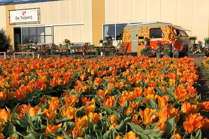 Taking Pictures in the Tulip Field at De Tulperij - Why the working farm setting matters