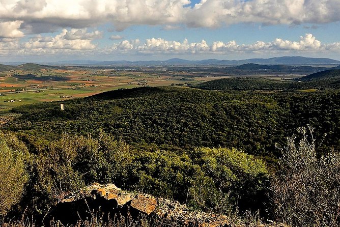 Tarot Garden and Maremma Park - Is $522.20 per person a fair price?