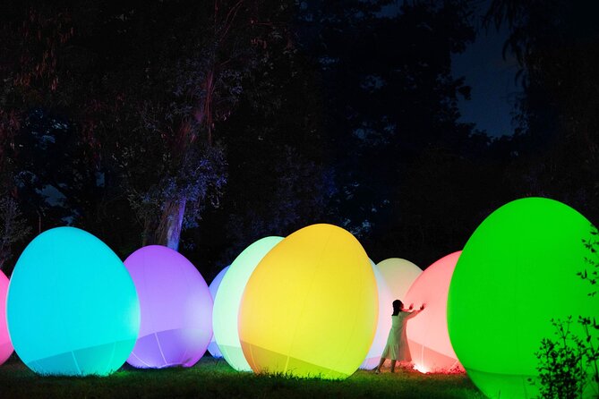 TeamLab Botanical Garden Osaka Ticket - What This Osaka Night Walk Actually Is