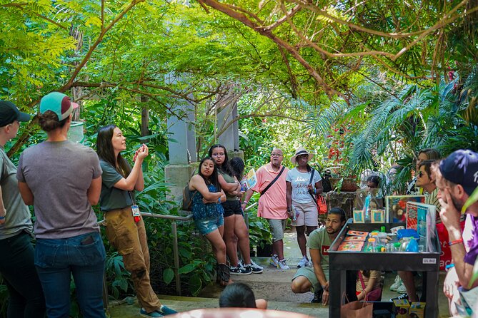 Texas Discovery Gardens General Admission - Start With the Butterfly House