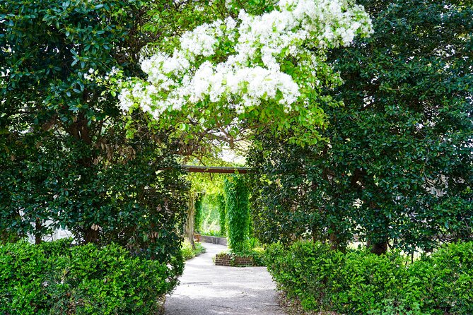Texas Discovery Gardens General Admission - Let Children Set the Pace at the Playscape