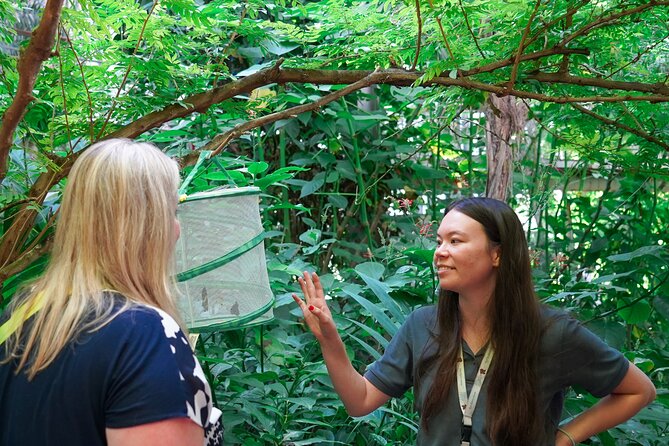 Texas Discovery Gardens General Admission - How Long to Stay and How to Plan the Day