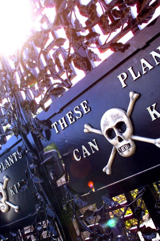 The Alnwick Garden: Entry Ticket - Look up to the Treehouse Restaurant
