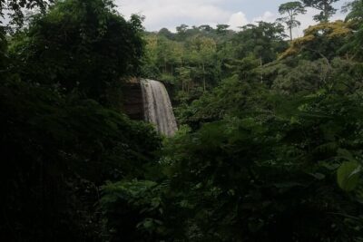 The Botanical Gardens and Water Falls Experience – Private Tour