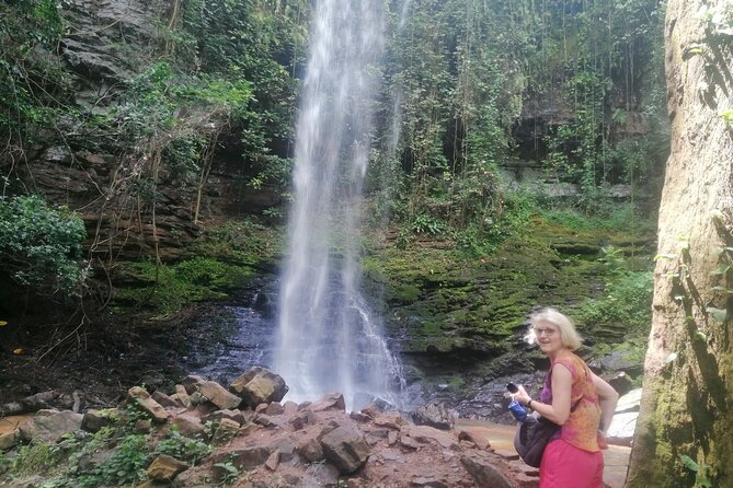 The Botanical Gardens and Water Falls Experience - Private Tour - Lunch, drinks, and what to pack