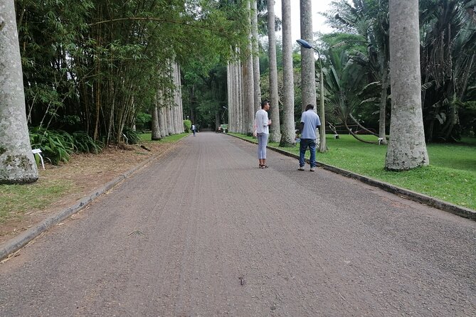 The Botanical Gardens and Water Falls Experience - Private Tour - Who will get the most from this outing?