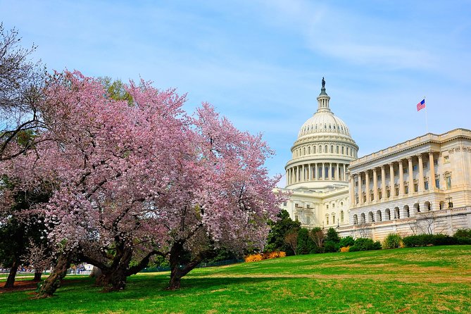 The DC Cherry Blossom Bus Tour with Tidal Basin Guided Walk - What the four-hour schedule feels like