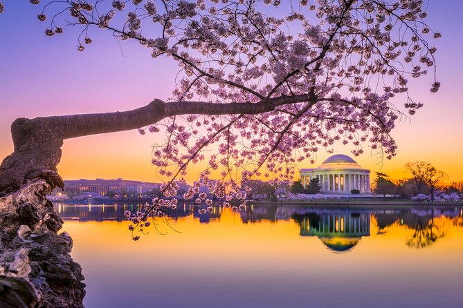 The DC Cherry Blossom Bus Tour with Tidal Basin Guided Walk - Lincoln Memorial: a short but powerful stop
