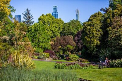 The Explorer – Melbourne Gardens