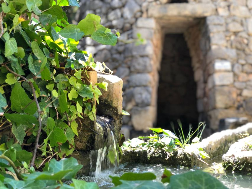 The Limestone Heritage Park and Gardens (Entry Ticket) - Follow the audio-guided walk at your own speed