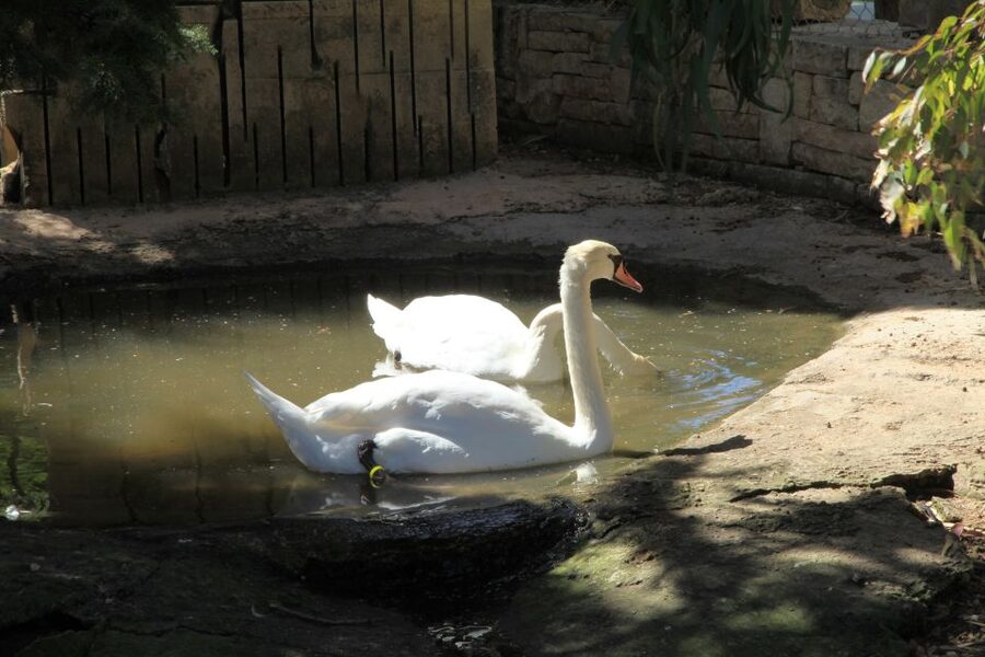 The Limestone Heritage Park and Gardens (Entry Ticket) - The museum hall adds Malta’s human story