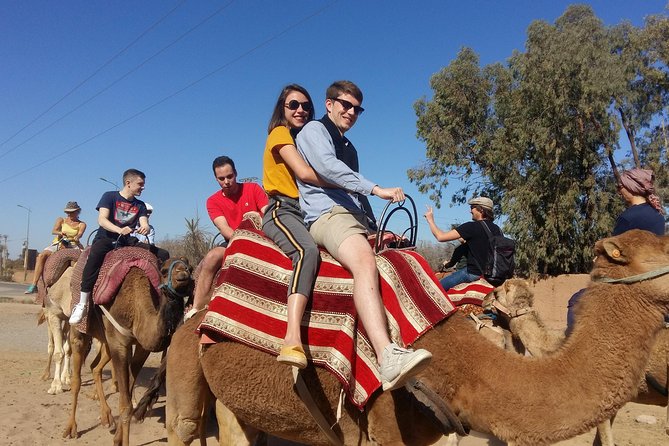 The Majorelle Garden with ticket and the palm grove on camelback - Should you book the Majorelle Garden and camel ride?