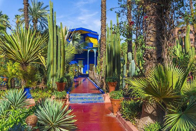 The Majorelle Garden with ticket and the palm grove on camelback - Entering Jardin Majorelle for one hour
