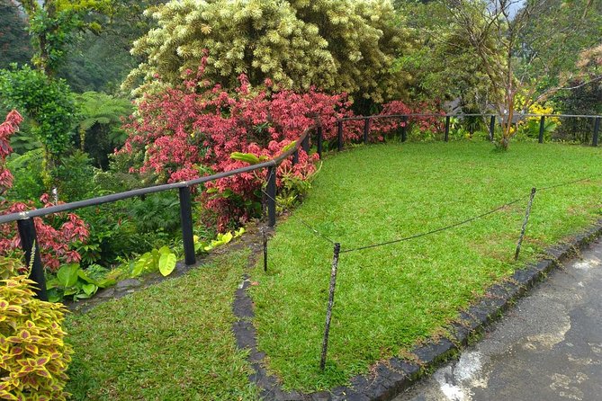 The Montreal Garden Tour with Fraser's Taxi and Tours - Inside the garden: two hours among tropical plants