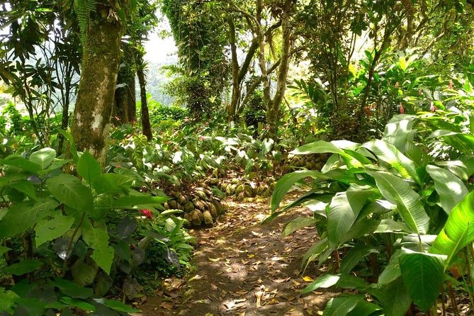 The Montreal Garden Tour with Fraser's Taxi and Tours - What the $65 price really covers