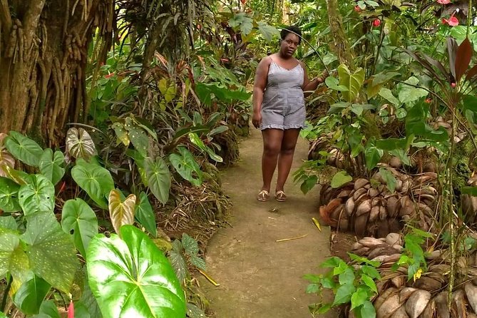 The Montreal Garden Tour with Fraser's Taxi and Tours - Booking advice for a smoother morning