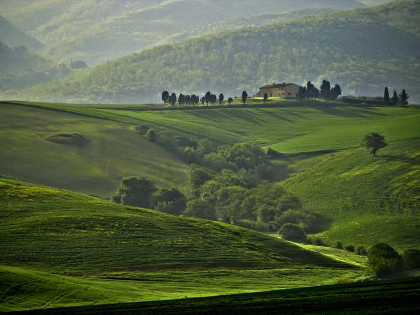 The Tuscan lavender field - Why this Tuscan outing is more than a flower stop