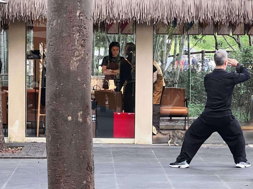 Three Hour Shanghai Tour Tai Chi and Yu Garden - Starting with Tai Chi near Yu Garden