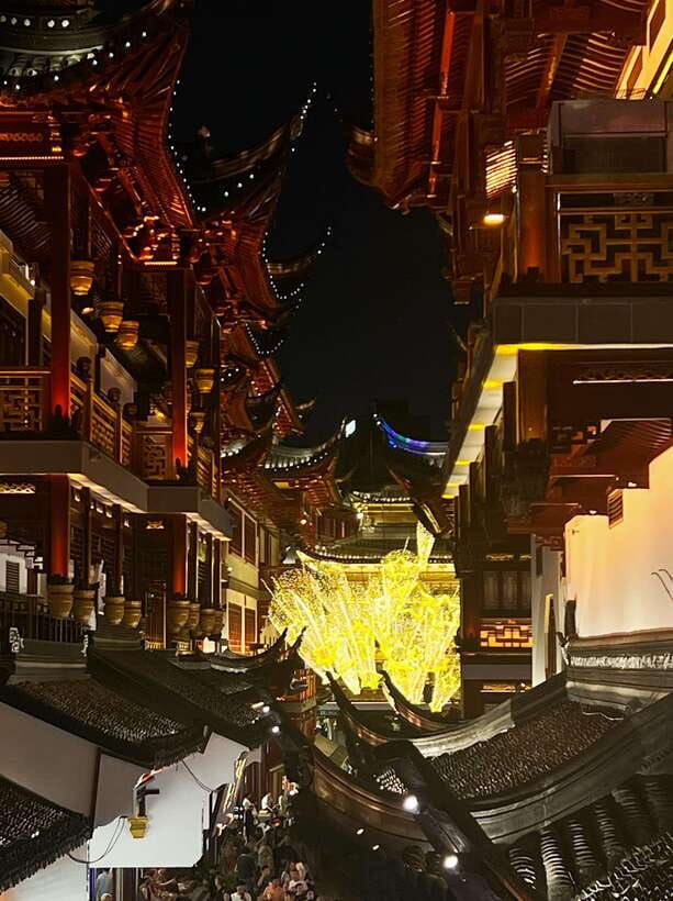 Three Hour Shanghai Tour Tai Chi and Yu Garden - Who will enjoy this experience most