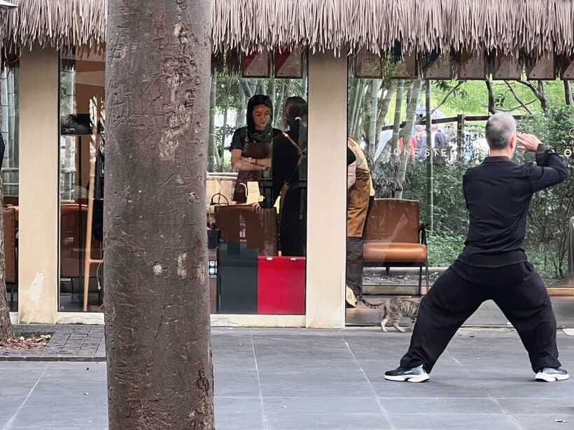 Three Hour Shanghai Tour Tai Chi and Yu Garden - Practical details before you reserve