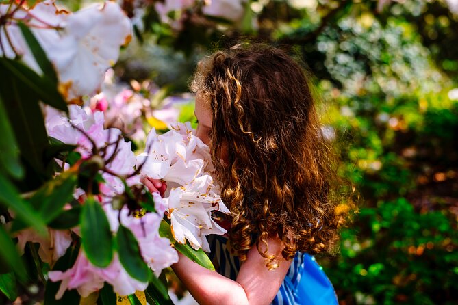 Tickets to Explore Ireland's Global Garden - Key points to know