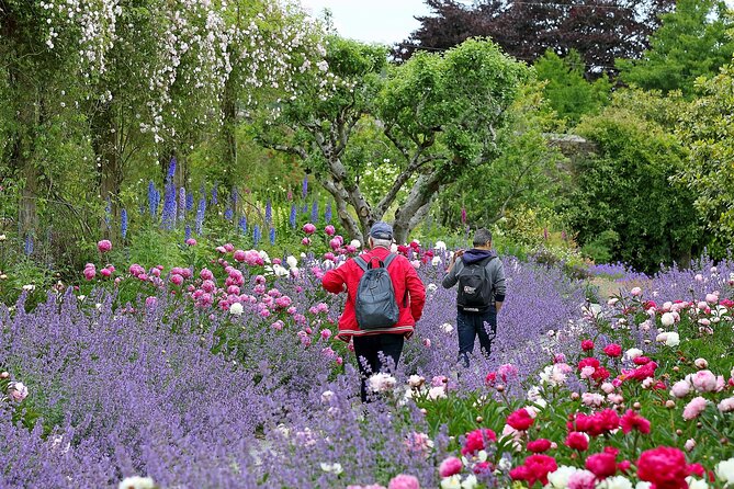 Tickets to Explore Ireland's Global Garden - Walking through 16km of gardens and woodland