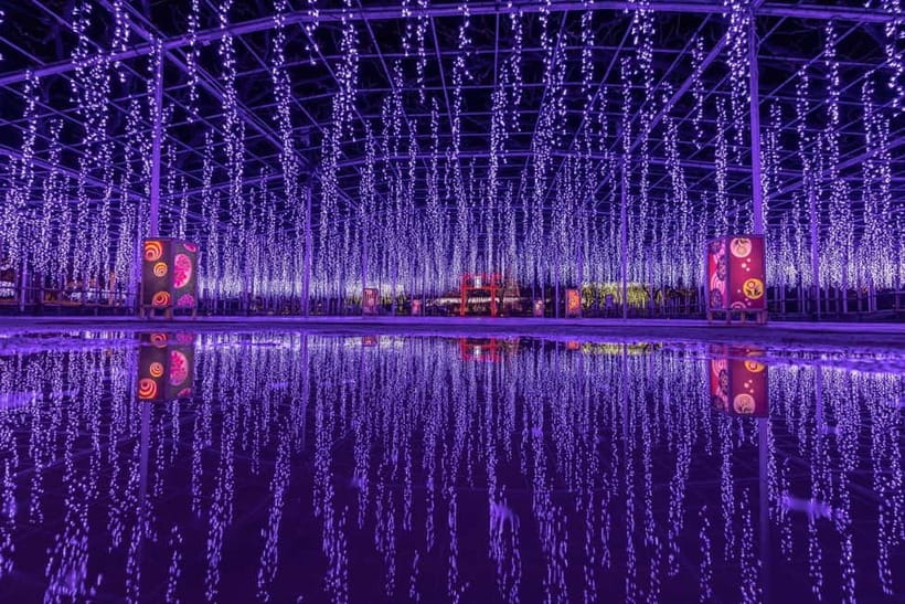 Tokyo: Ashikaga Flower Park with Entry Ticket - Booking flexibility and practical details
