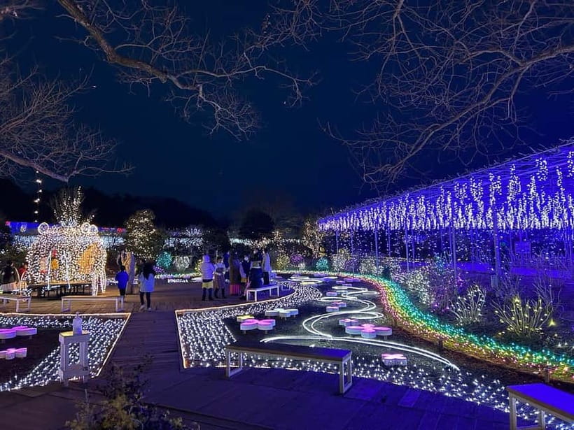 Tokyo: Ashikaga Flower Park with Entry Ticket - Why Ashikaga Flower Park is worth the long day