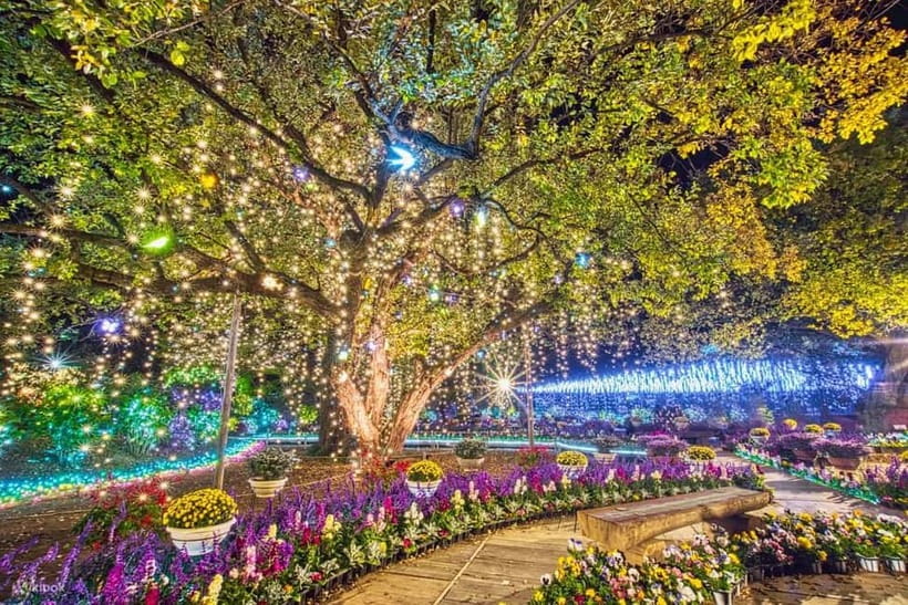 Tokyo: Ashikaga Flower Park with Entry Ticket - Transport from Tokyo, Tochigi, or Ibaraki