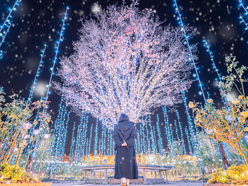 Tokyo: Ashikaga Flower Park with Entry Ticket - Who will enjoy this experience most?