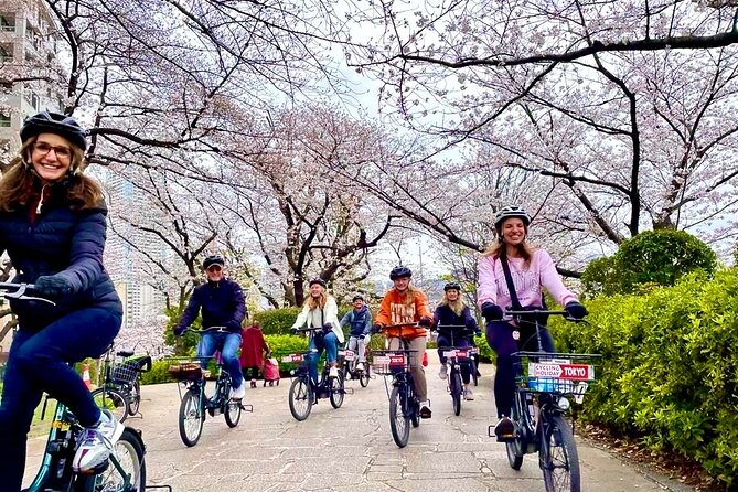 Tokyo Cherry Blossoms blooming spots E-bike Tour, 3hrs - Why an e-bike works so well for Tokyo’s cherry blossom season