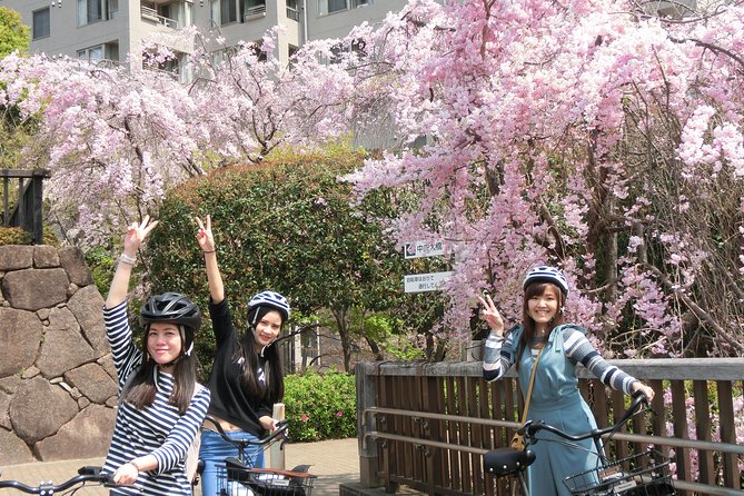 Tokyo Cherry Blossoms blooming spots E-bike Tour, 3hrs - Yasukuni Shrine: a short walk among the trees