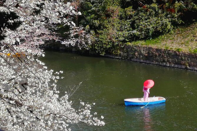 Tokyo Cherry Blossoms blooming spots E-bike Tour, 3hrs - Guides who add more than directions
