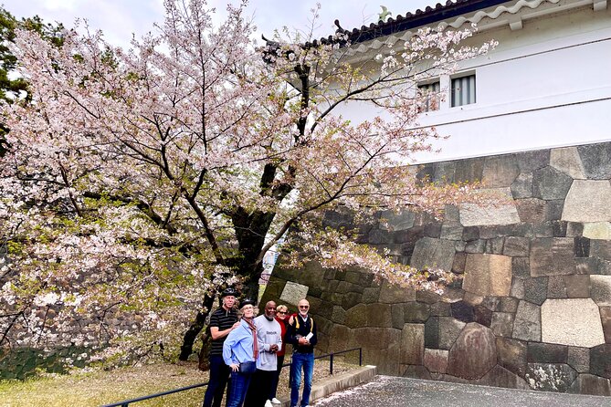 Tokyo Cherry Blossoms blooming spots E-bike Tour, 3hrs - The big variable: cherry blossom timing