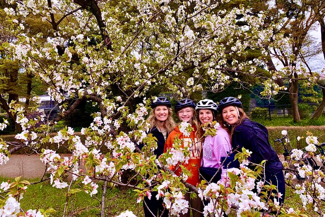 Tokyo Cherry Blossoms blooming spots E-bike Tour, 3hrs - Chidorigafuchi: the first major blossom view