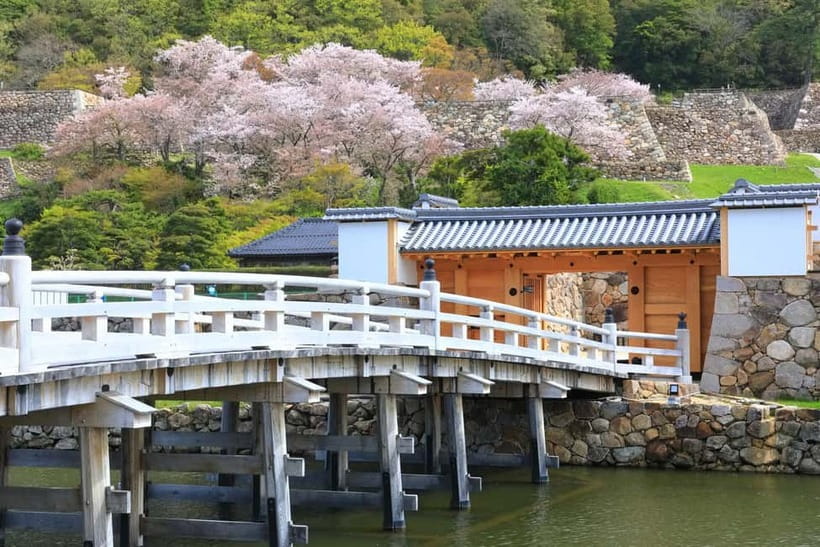 Tokyo: Edo Castle & East Garden of the Imperial Palace Tour - Who should book it?