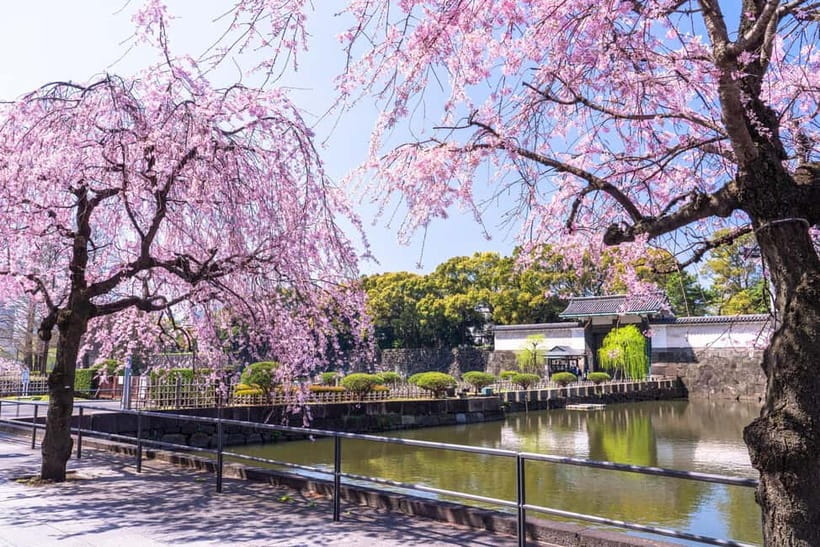 Tokyo: Edo Castle & East Garden of the Imperial Palace Tour - Is $42 a fair price?