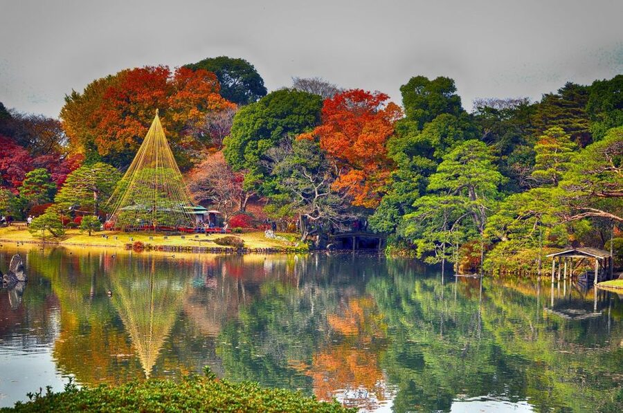 Tokyo: Full-Day Japanese Garden Private Guided Tour - Why a private garden tour works well in Tokyo