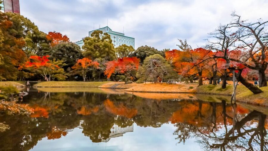 Tokyo: Full-Day Japanese Garden Private Guided Tour - Meiji Jingu and a quiet teahouse garden