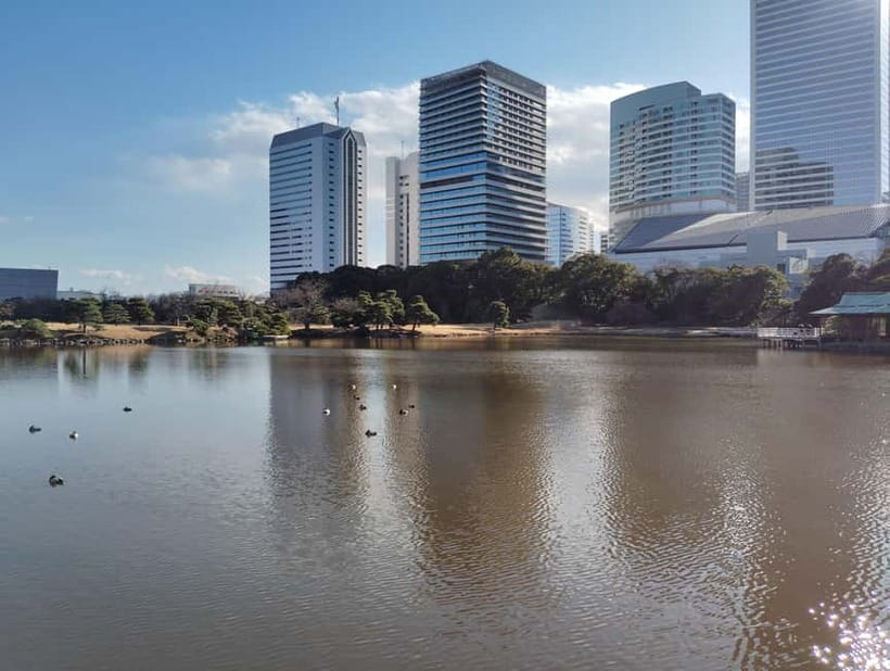 Tokyo: Hama-rikyu Garden Guided Tour with Entry Ticket - The Tokugawa shogun and the garden’s former role